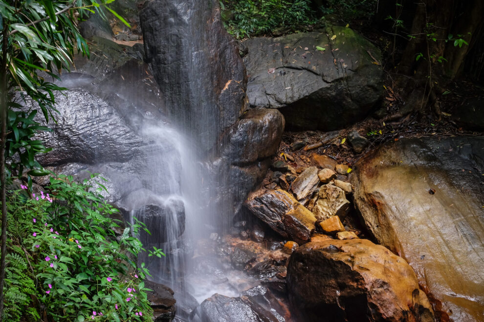 น้ำตกกลางป่า - ชลบุรีที่เที่ยว. ยโสธรที่เที่ยว